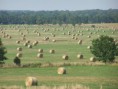 /album/galeria-de-fotos-agropecuaria-mr-garcia-assuncao/claycohay-falzenda-de-390-acres-em-arkansas-jpg1/